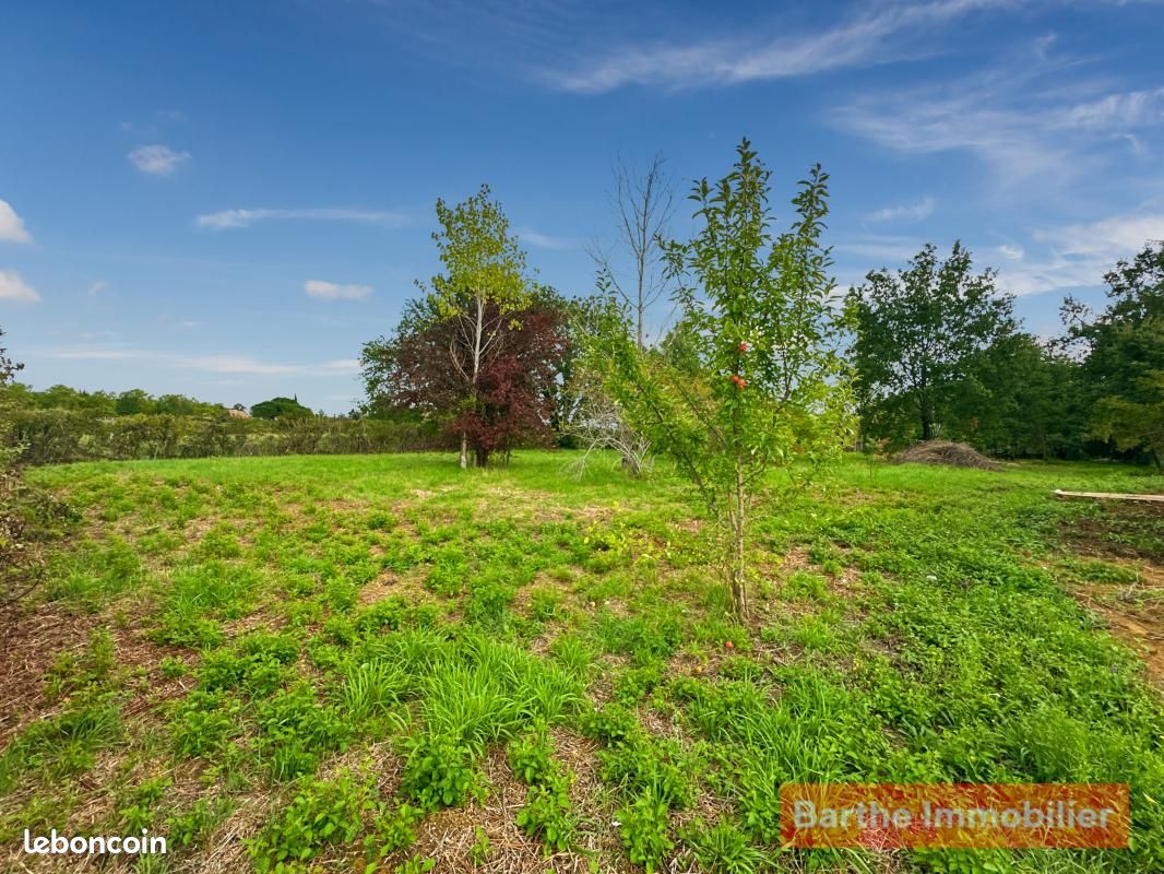 Terrain 1 205 m² Gaillac · 61 000 €
