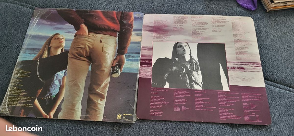 Vinyle scorpion animals magnétisme (image 5)