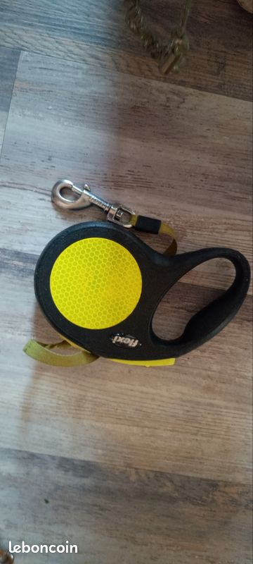 Laisse pour chien (image 2)