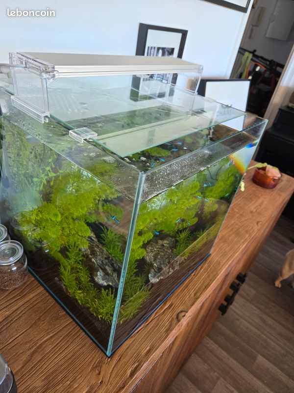 Aquarium superfish scaper qube 60 avec filtre (image 2)