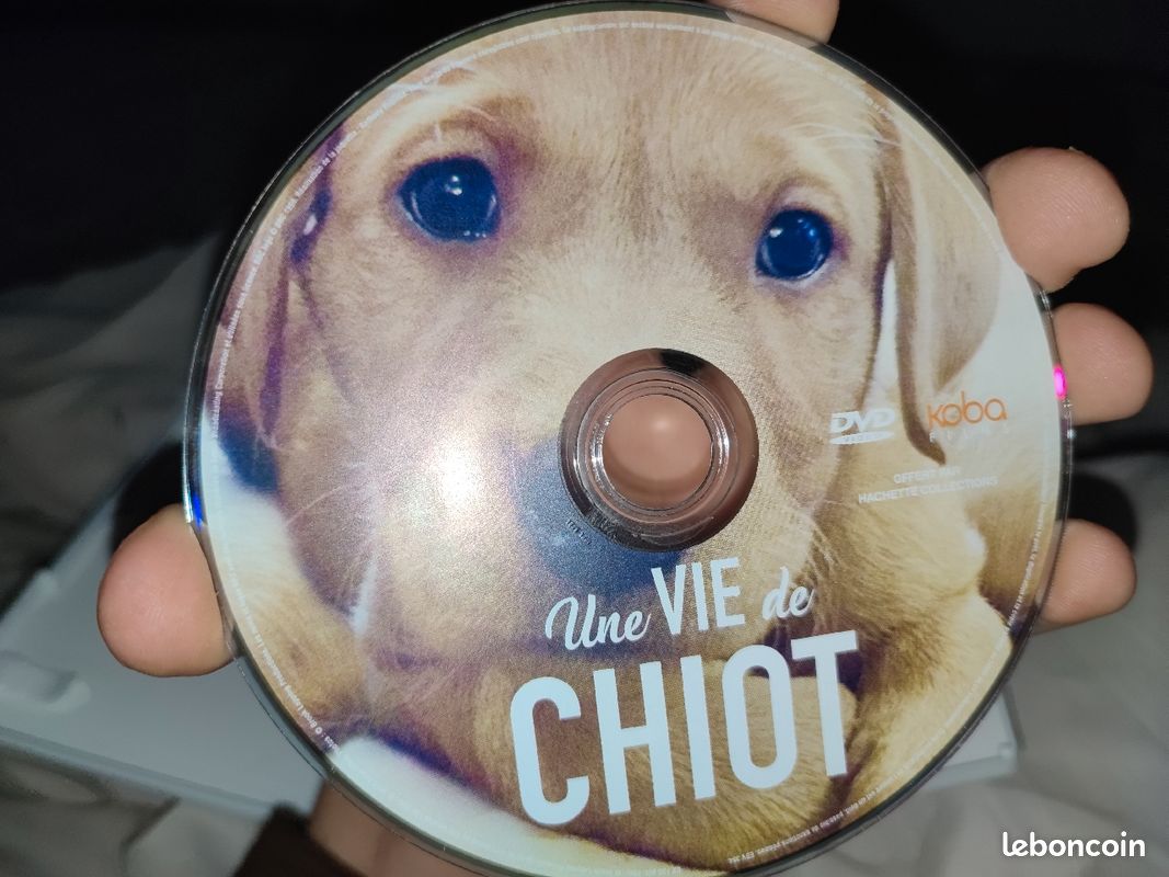 Une vie de chiot (image 4)