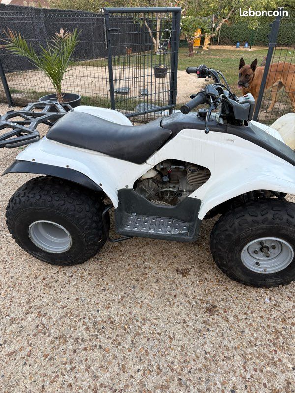 Yamaha 125 Breeze (image 2)