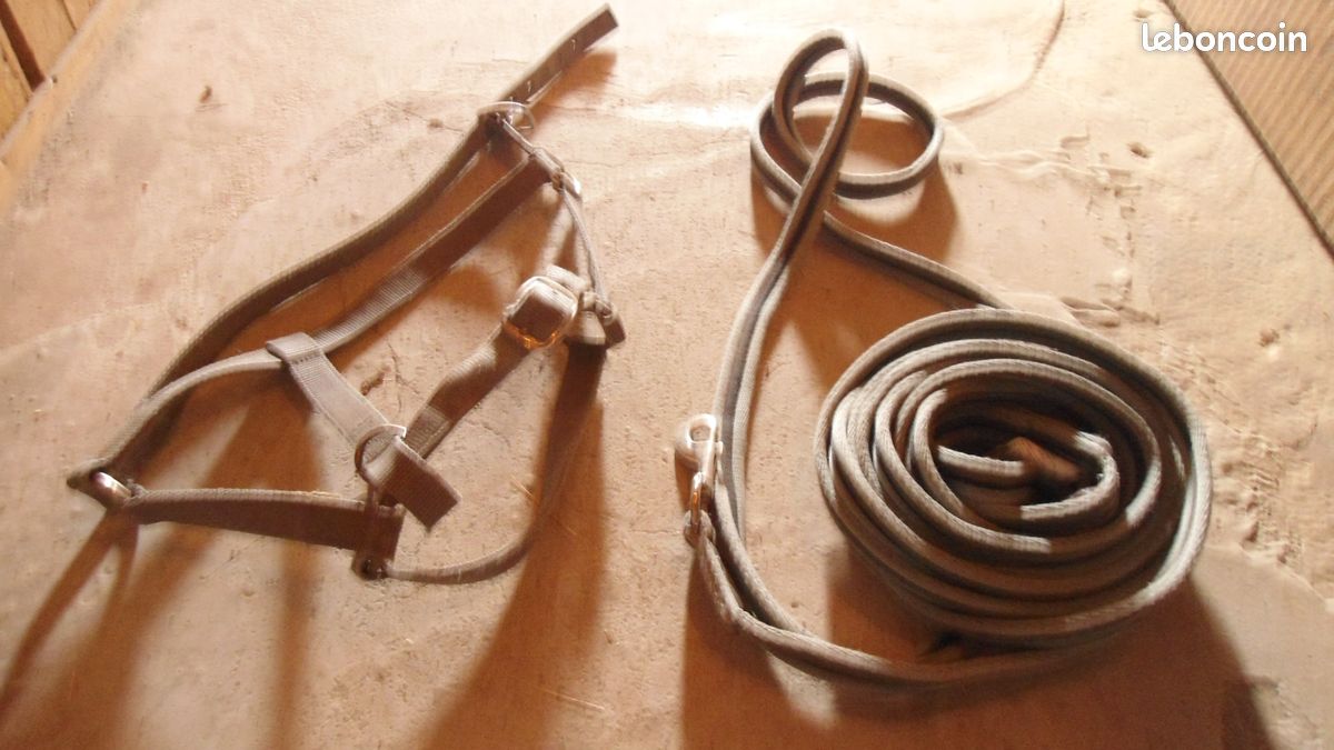 Materiel a longer (image 2)