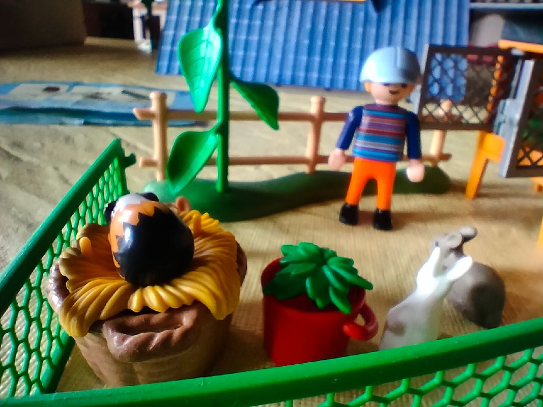 Playmobil - La Cabane du Lac (9320) : : Jeux et Jouets