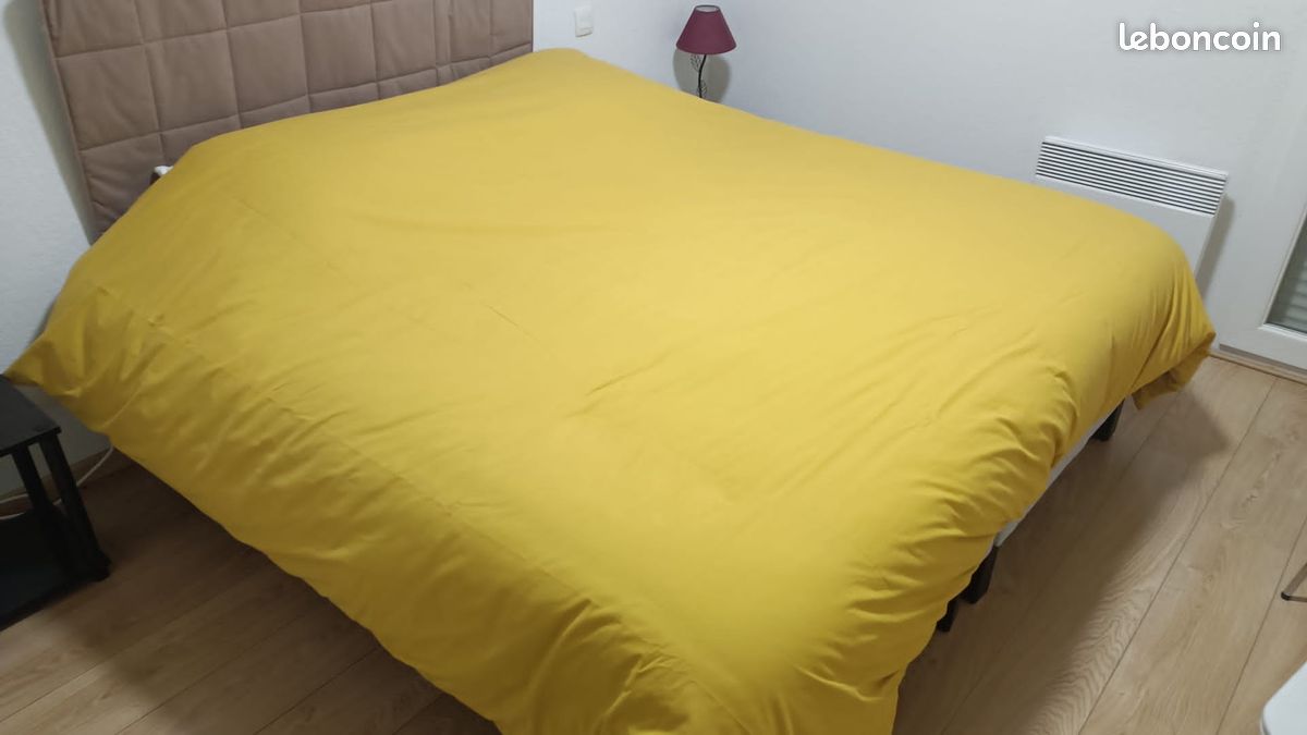 Grand T3 à louer pour curistes ( 3 semaines) (image 3)