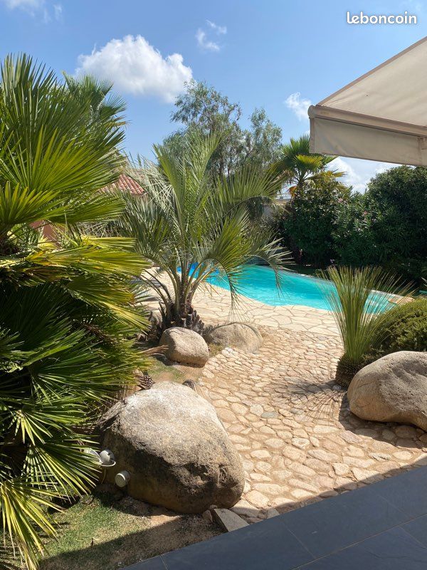 Villa porto vecchio piscine privée (image 4)