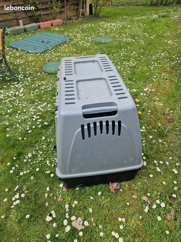 Caisse de transport pour chien (image 2)