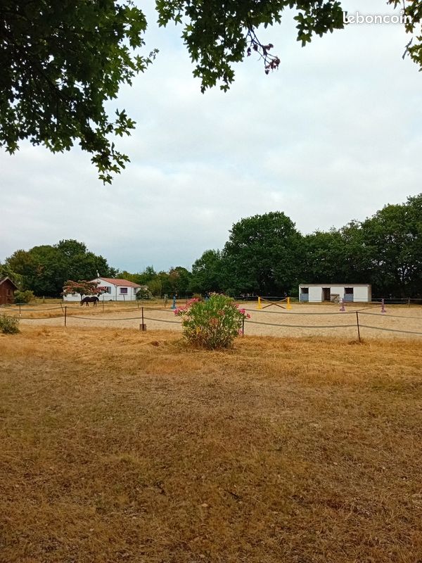 Maison sur terrain 5380 mètres carrés · à Migré · 169 000 €