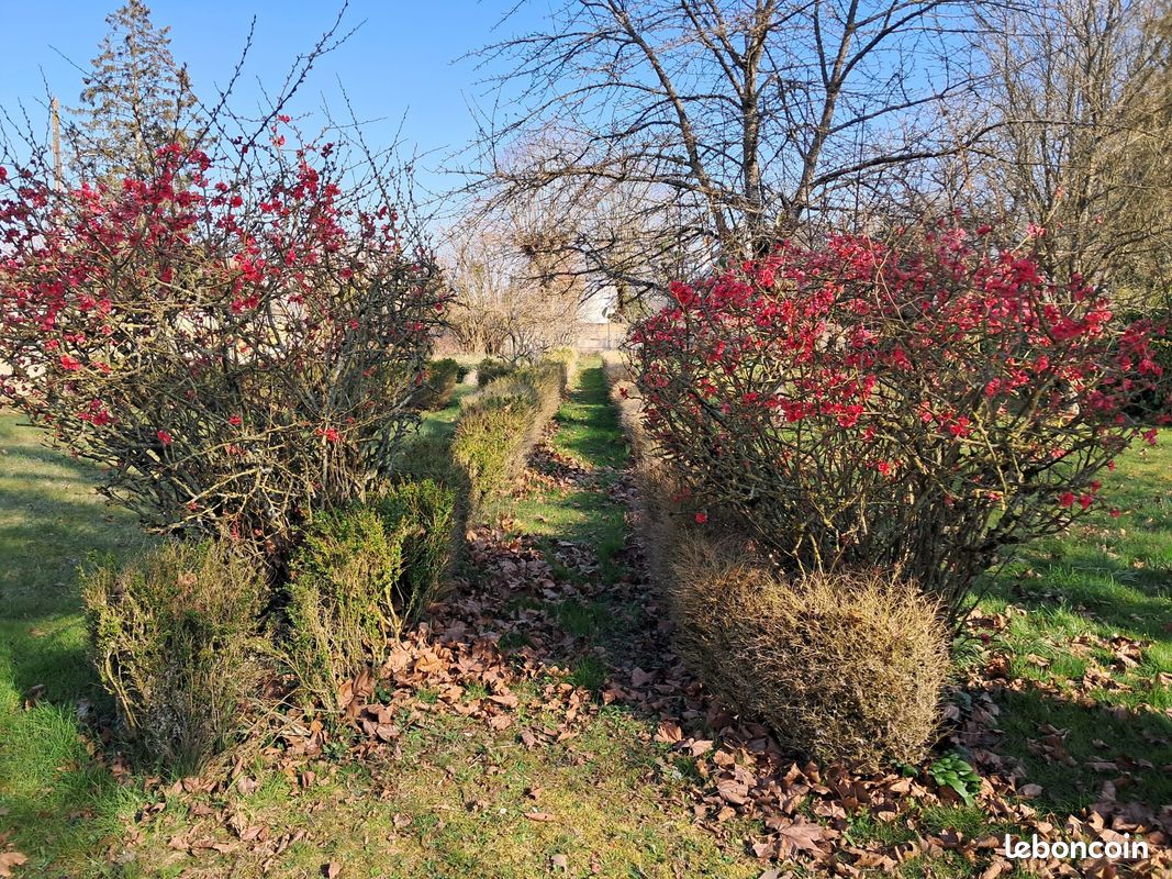 Terrain 1484 m² · à Chevilly · 1 484 m² · 148 400 €