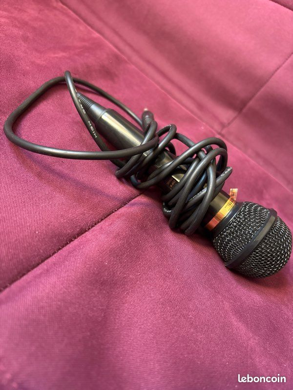 Amplificateur de son + microphone (image 3)