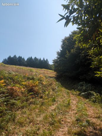 Terrain 9ha prairie + forêt + ruisseau