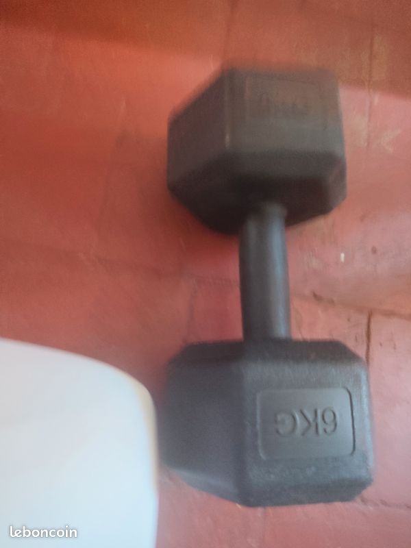 Paire d'altère 6 kg (image 1)