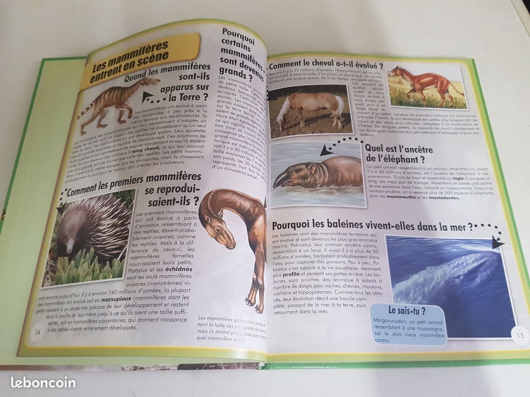 Les animaux (image 3)