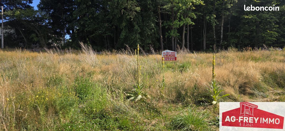 Terrain 2169 m² · à Labaroche · 2 169 m² · 207 000 €