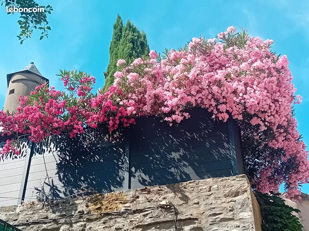 Maison 5 pièces 125 m² · à Saint-Pons-de-Thomières · 125 m² · 279 000 €