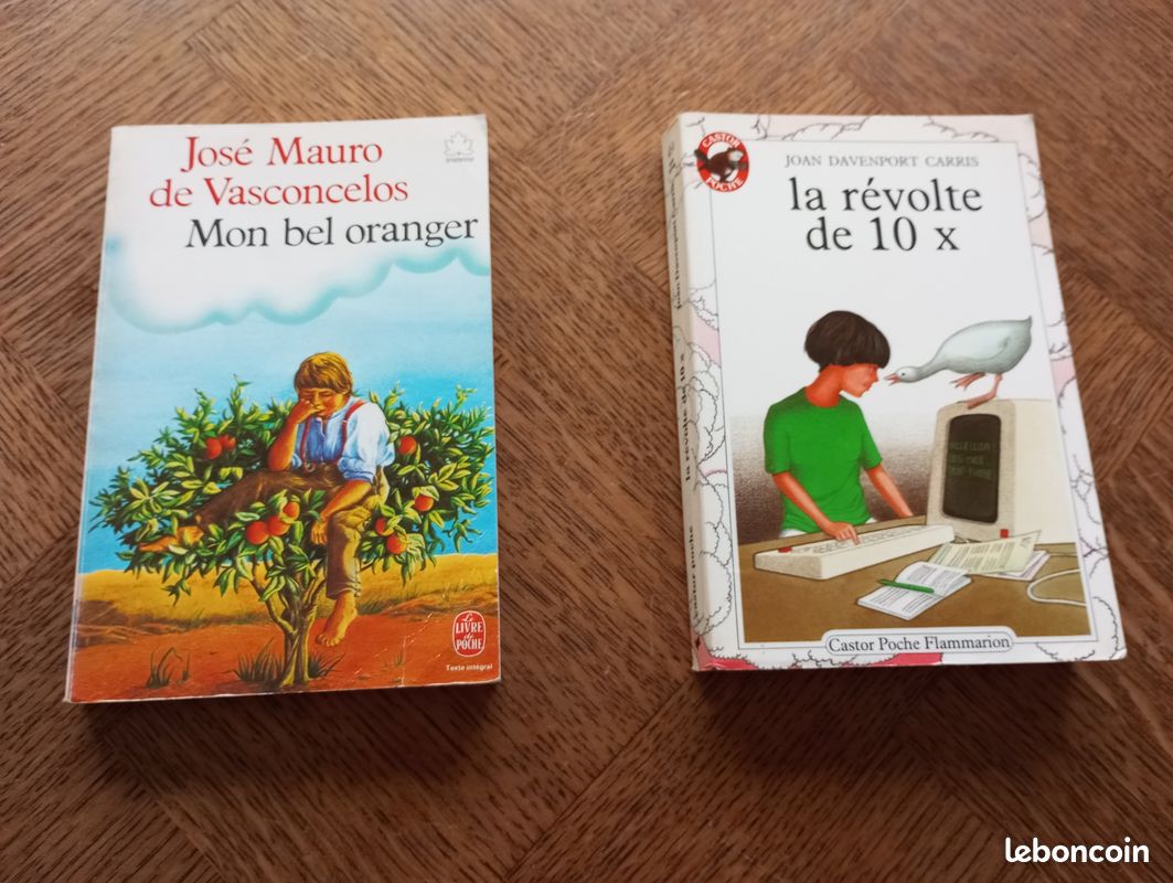 Petits classiques - Folios - Livres des années 90 (G) (image 6)