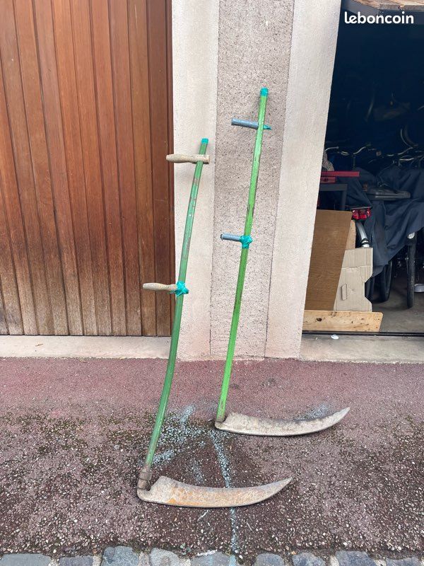 Faux à broussailles - Jardin & Plantes