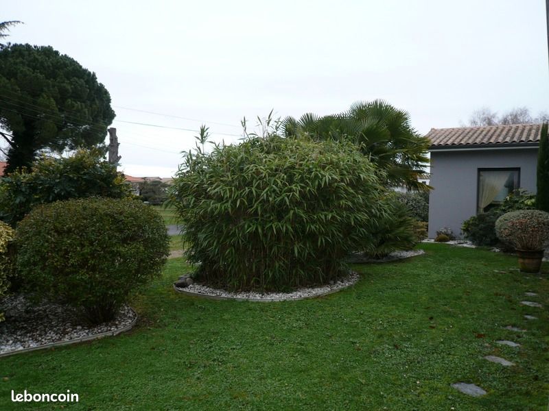 Maison 7 pièces 204 m² - Saint-Yrieix-sur-Charente 16710 (image principale 16)