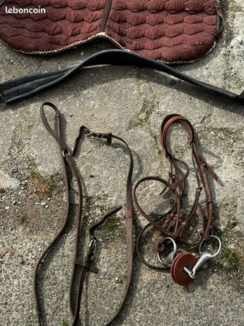 Licol cheval de trait d'occasion - Accessoires animaux