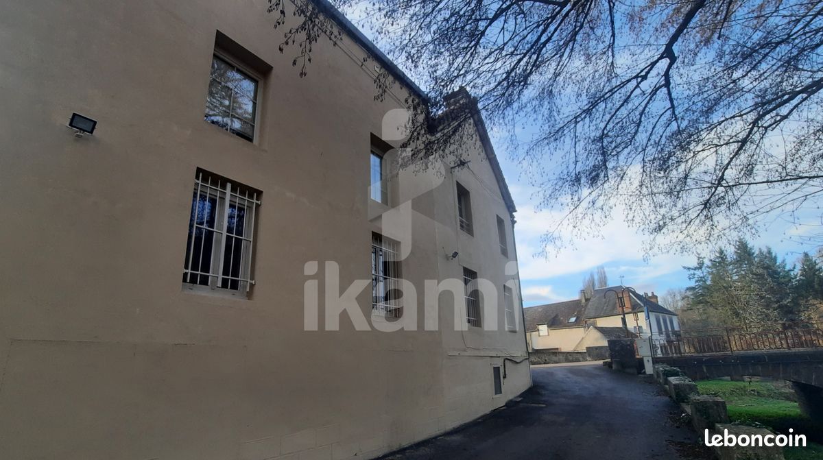 Immeuble 371 m² Toucy (image 8)