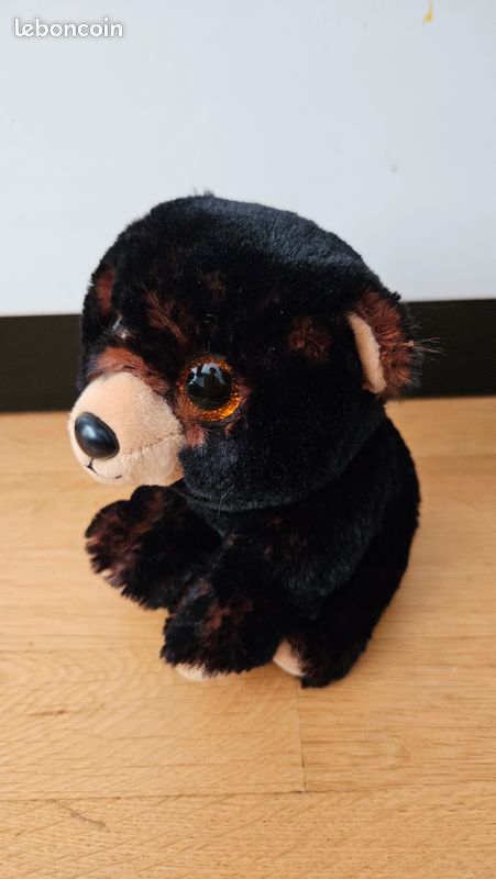 Peluche Ty beanie babies boo ours kodi S 2021 Jeux Jouets