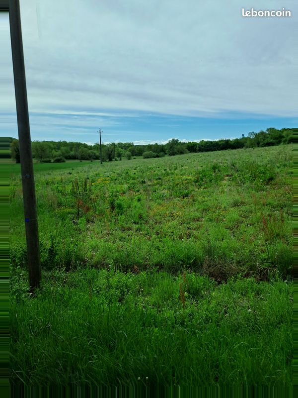 Terrain agricole · à Marciac · 14 300 €