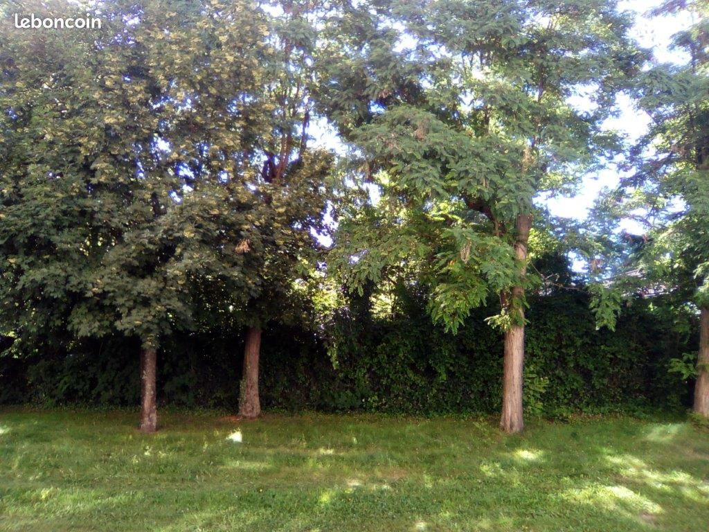 Appartement 3 pièces 56 m² · à Roanne · 56 m² · 480 €