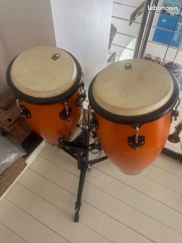 Congas (image 2)