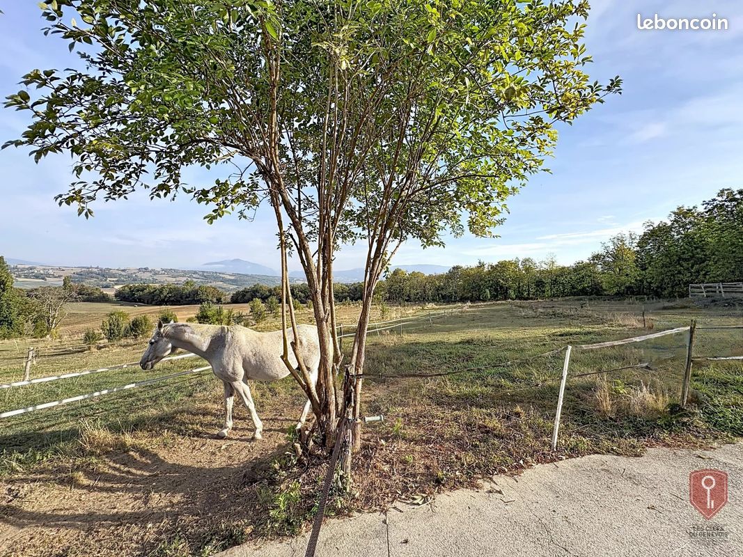 Maison 10 pièces 300 m² · à Seyssel · 300 m² · 1 190 000 €