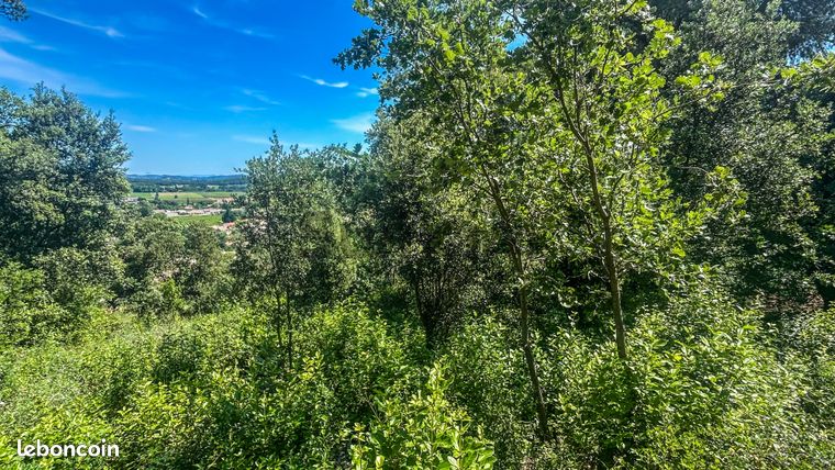 Terrain 1212 m² Connaux