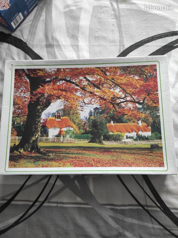 Puzzle 1000 pièces complet (image 1)