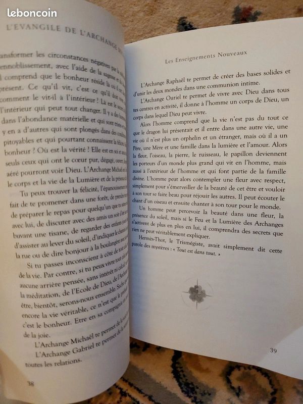 L'évangile de l'Archange Michaël par Olivier Manitara (image 7)