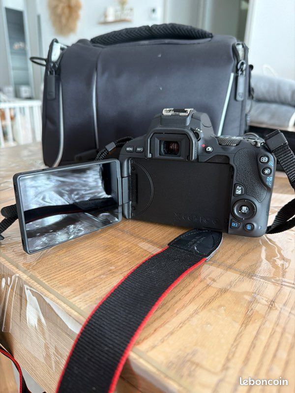 Reflex (image 3)