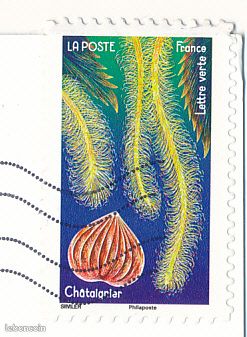 Carte postale : ILE DE RÉ (17, Charente-Maritime) : Mutivues, anes, Plage, Port St-Martin, Marais salants, Timbre chataignier, Circulée (image 2)