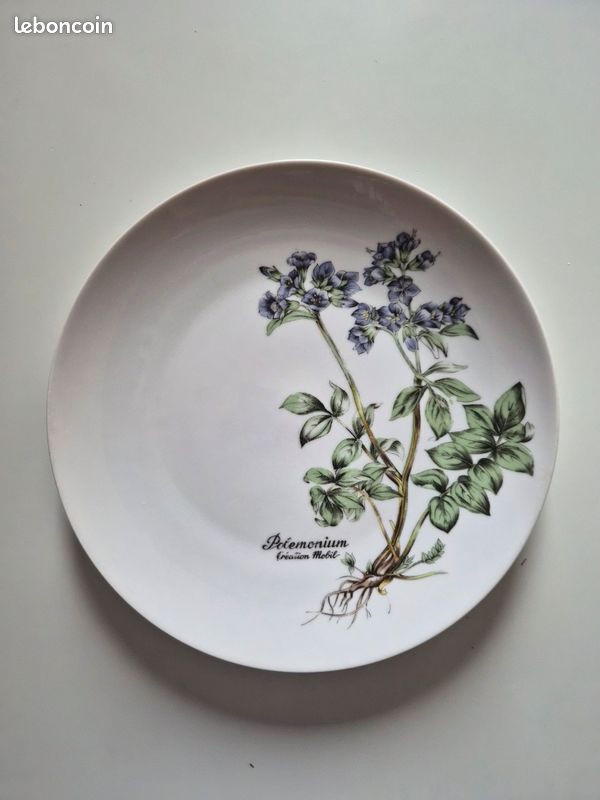 1 Assiette porcelaine fine mobil polemonium (image 1)