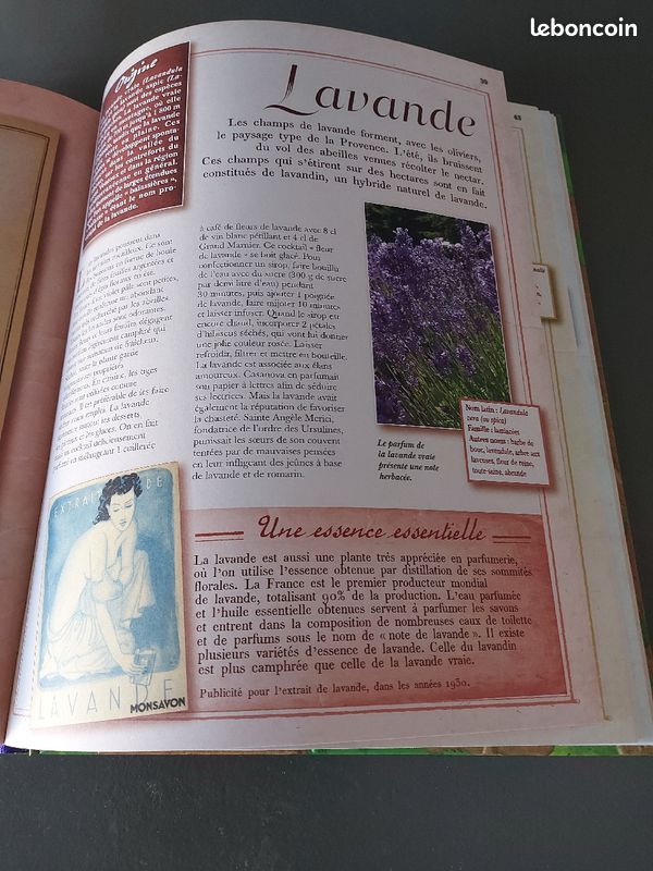 Livre Plantes Aromatiques (image 3)