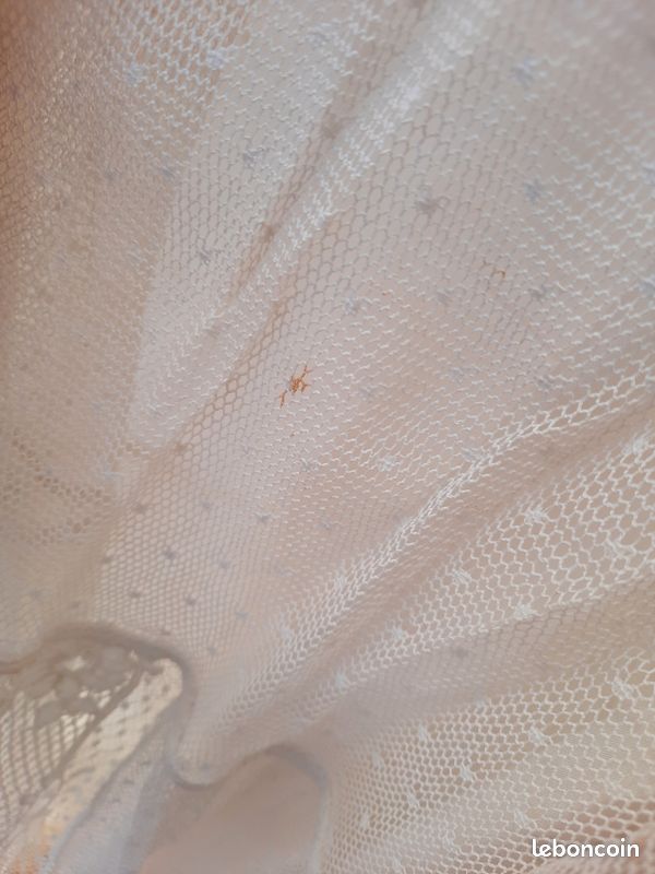 Robe de mariée rare vintage (image 5)