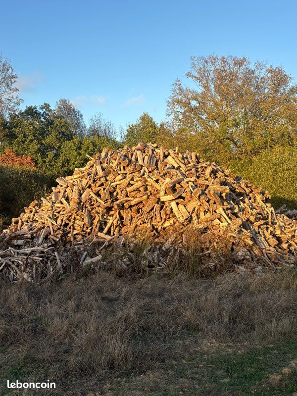 Bois chauffage (image 1)