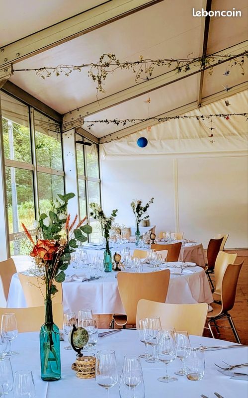 10 Bouteilles vases bleues transparentes (image 1)