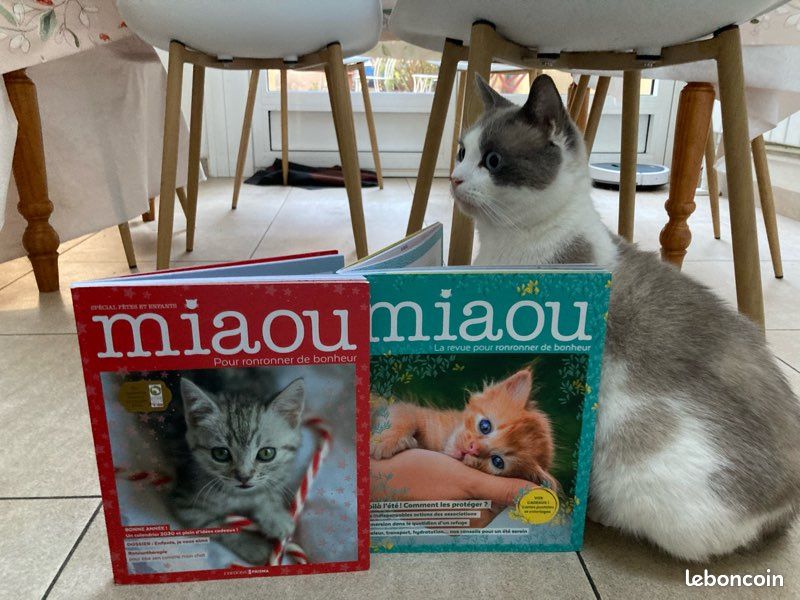 Livres miaou (2)😻 (image 17)