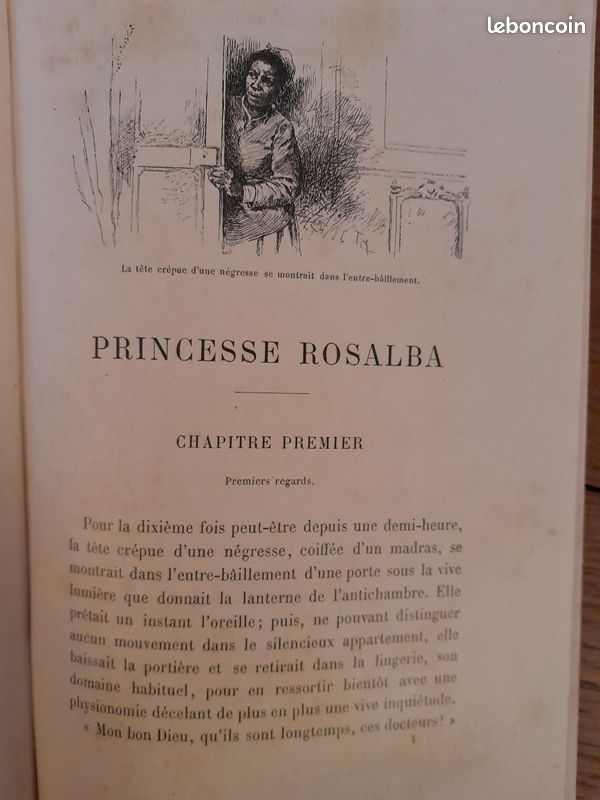 Roman féminin de 1891 (image 3)