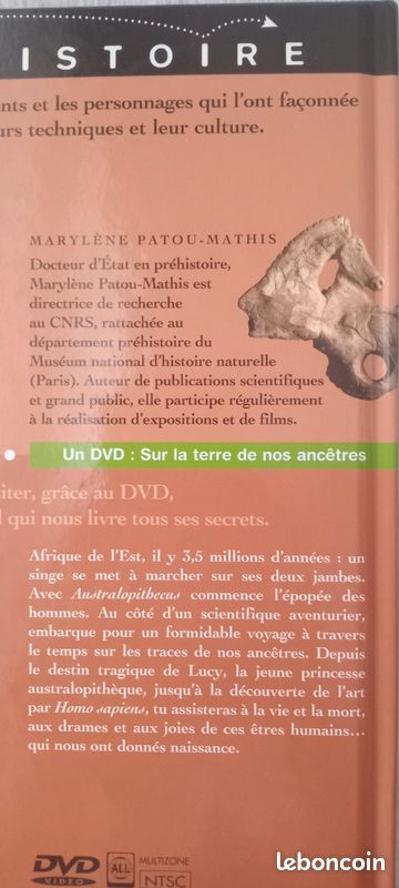 La préhistoire à partir de 9 ans/neuf (image 4)