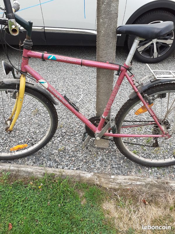 Vélo homme (image 4)
