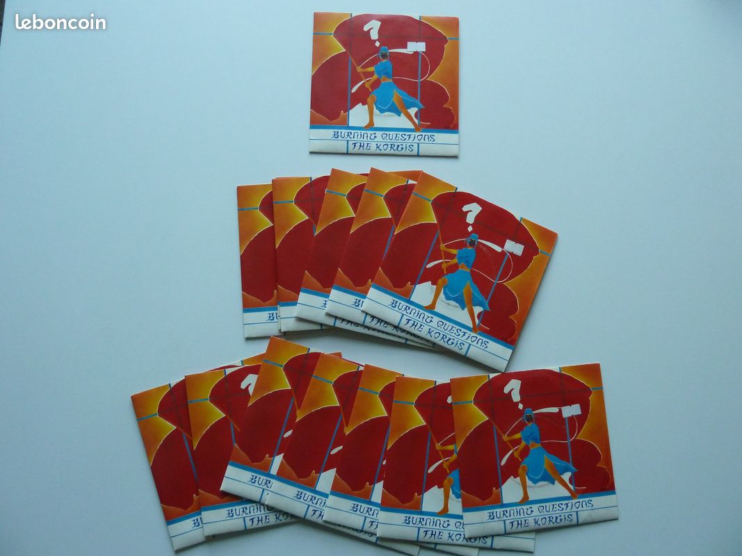 Vinyle NEUF 45 tours THE KORGIS - Burning questions (image 1)