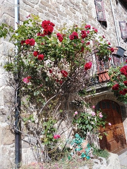 Maison 8 pièces 150 m² · à Bourg-Argental · 150 m² · 215 000 €
