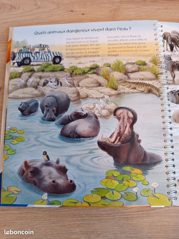 Livre tiptoi les animaux d'Afrique (image 6)