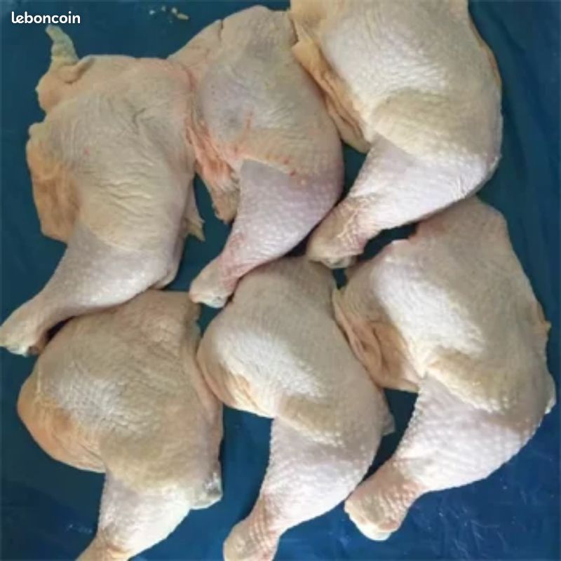 Poulet pour alimentation pour chien (image 2)