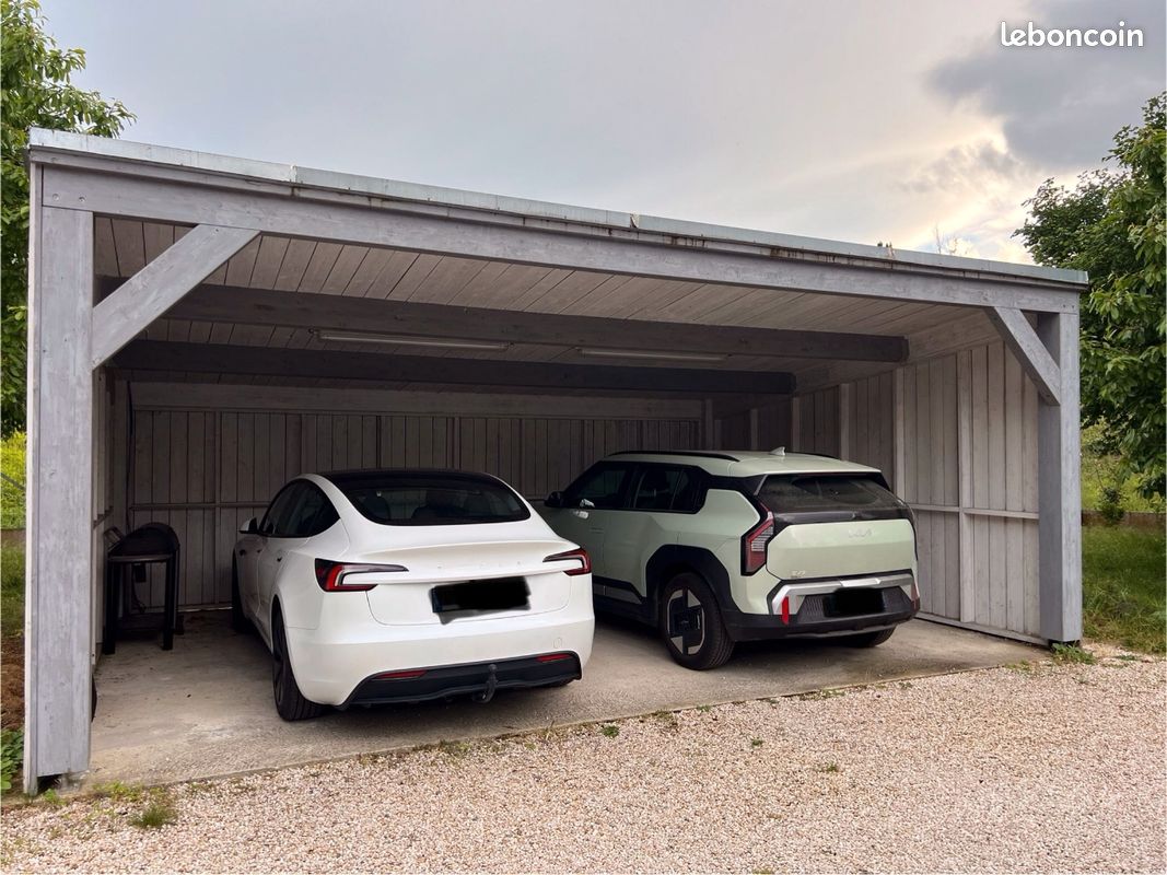 Carport double à démonter (image 3)