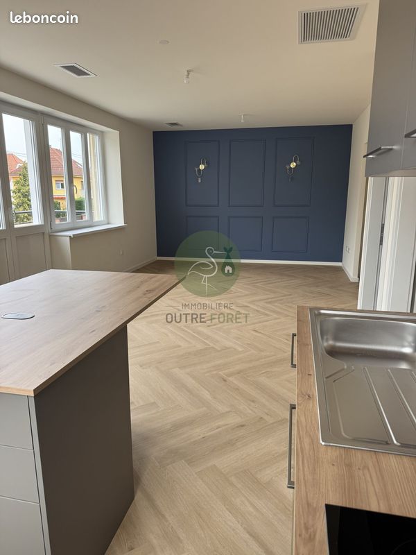 Immeuble 300 m² Haguenau (image 7)