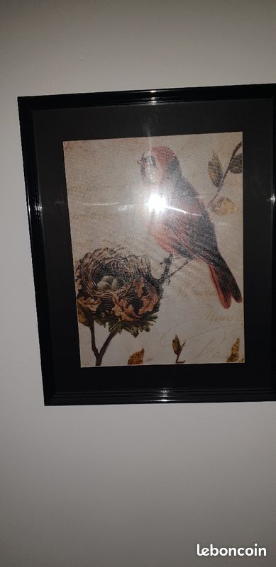 Cadre oiseaux sous verre (image 1)